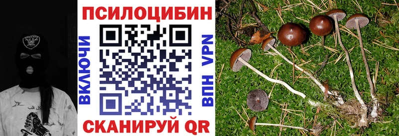 OMG рабочий сайт Крымск Псилоцибиновые грибы Magic Shrooms