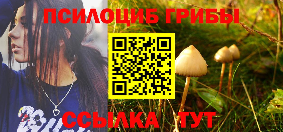 Галлюциногенные грибы мухоморы  Вход с VPN  Псилоцибиновые грибы MAGIC MUSHROOMS  Крымск 